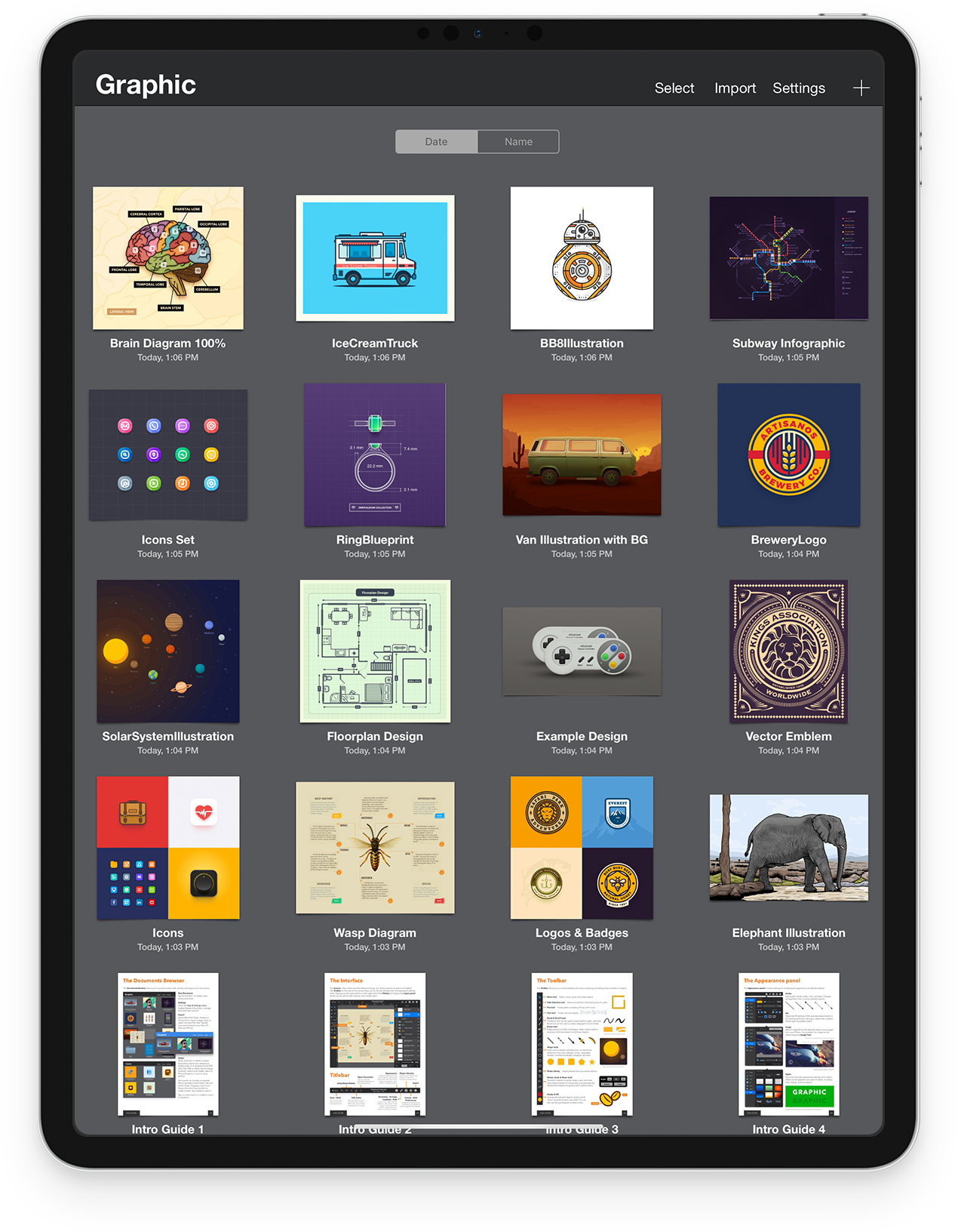 Graphic iPad Illustration and Graphic Design